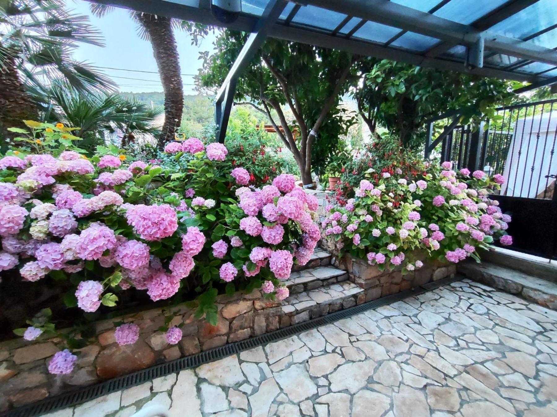 Vacation House Orange Veli Lošinj المظهر الخارجي الصورة